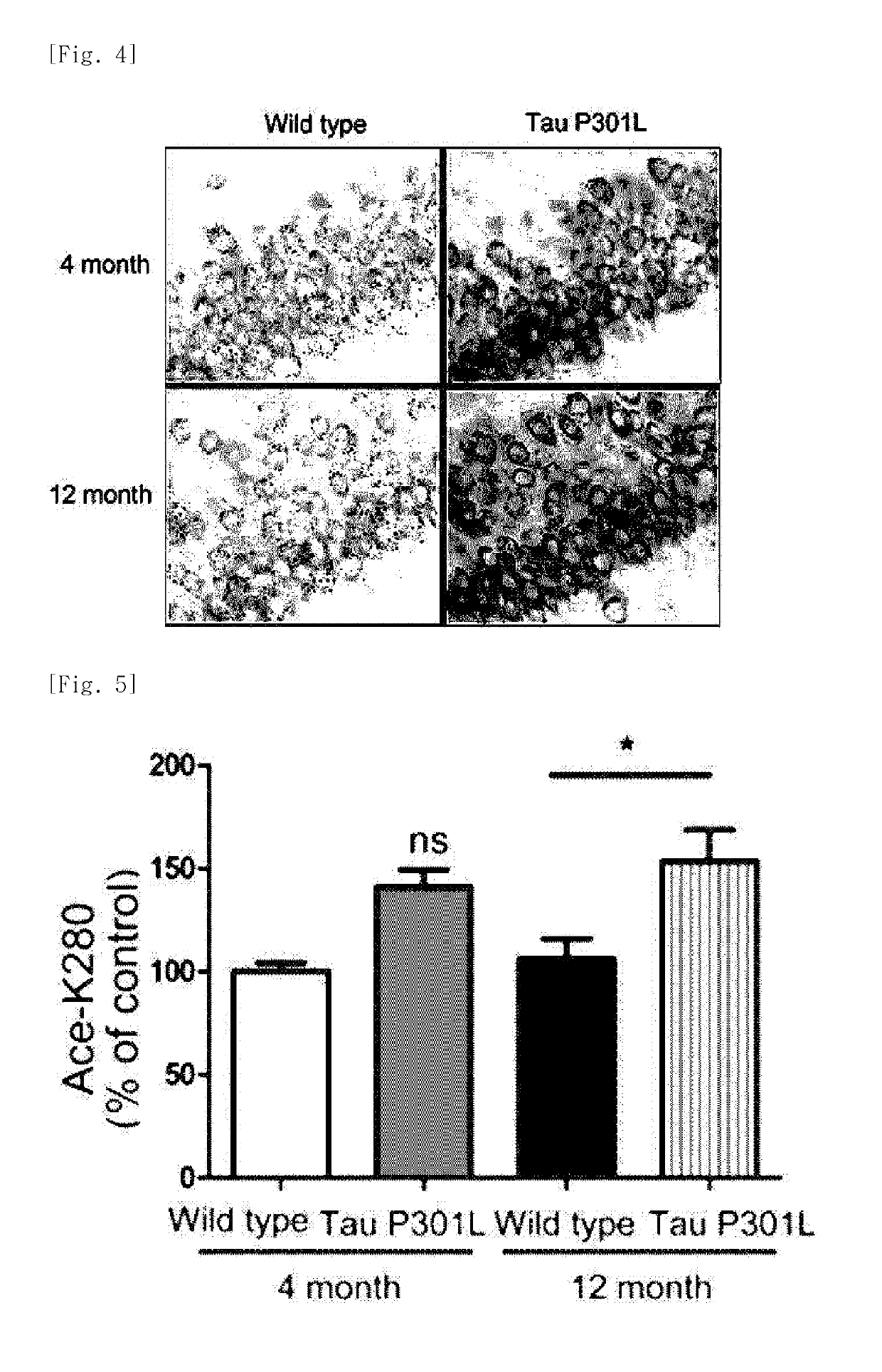 Mutated tau protein fragment and use thereof