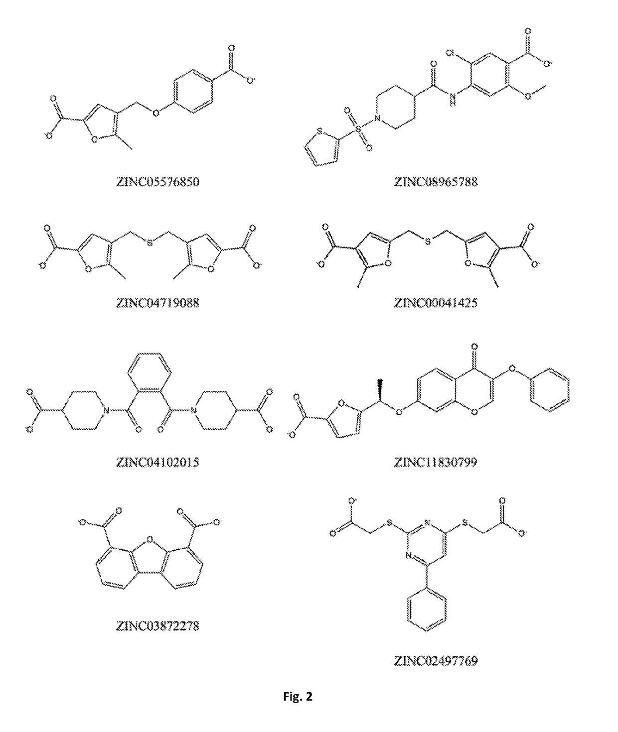 Bis-furan derivatives as transthyretin (TTR) stabilizers and amyloid inhibitors for the treatment of familial amyloid polyneuropathy (FAP)