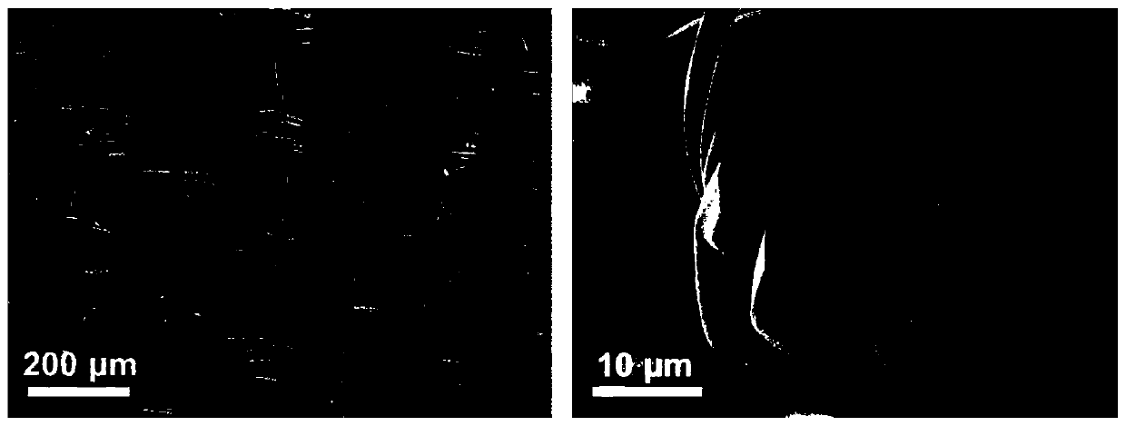 Carbonized silk fabric/transition metal oxide composite material for flexible lithium ion battery negative electrode and preparation method thereof