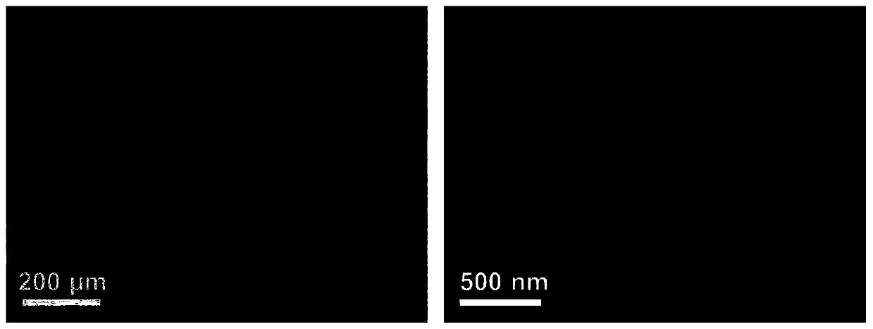 Carbonized silk fabric/transition metal oxide composite material for flexible lithium ion battery negative electrode and preparation method thereof