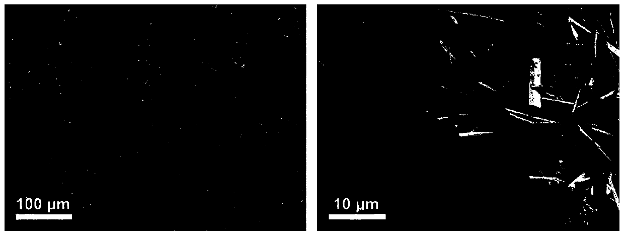 Carbonized silk fabric/transition metal oxide composite material for flexible lithium ion battery negative electrode and preparation method thereof