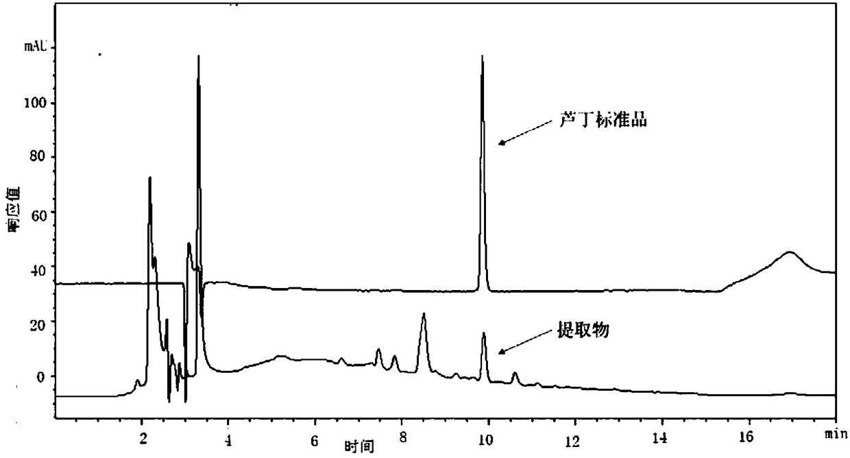 Preparation method for extract of total flavonoids in kernel of Prinsepia utilis