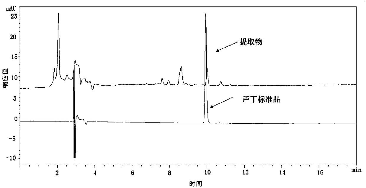 Preparation method for extract of total flavonoids in kernel of Prinsepia utilis