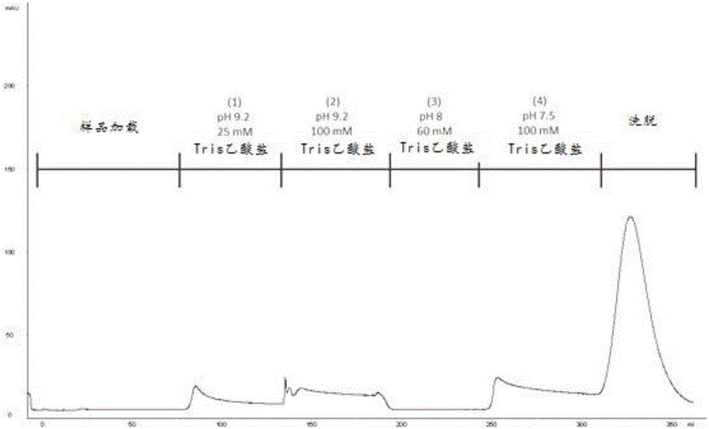 Method for purifying chondroitinase ABC