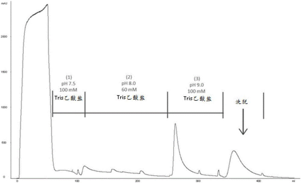 Method for purifying chondroitinase ABC