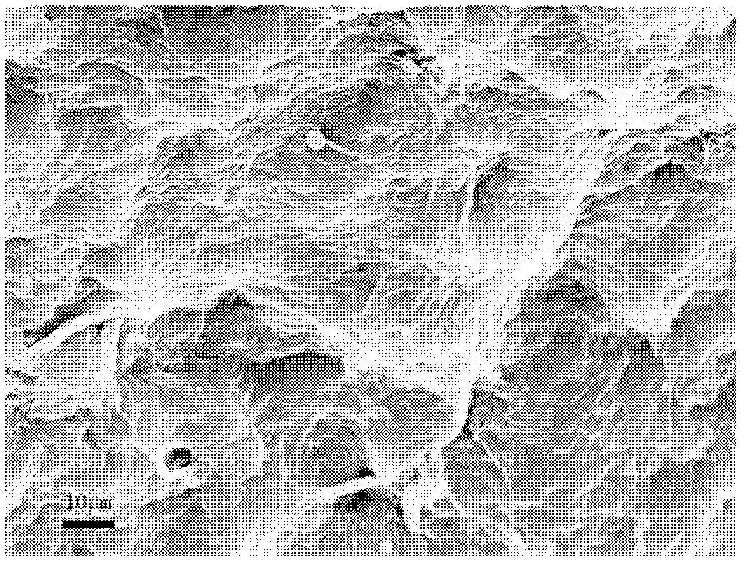 Preparation method for polypyrrole and graphene oxide based sponge structural material