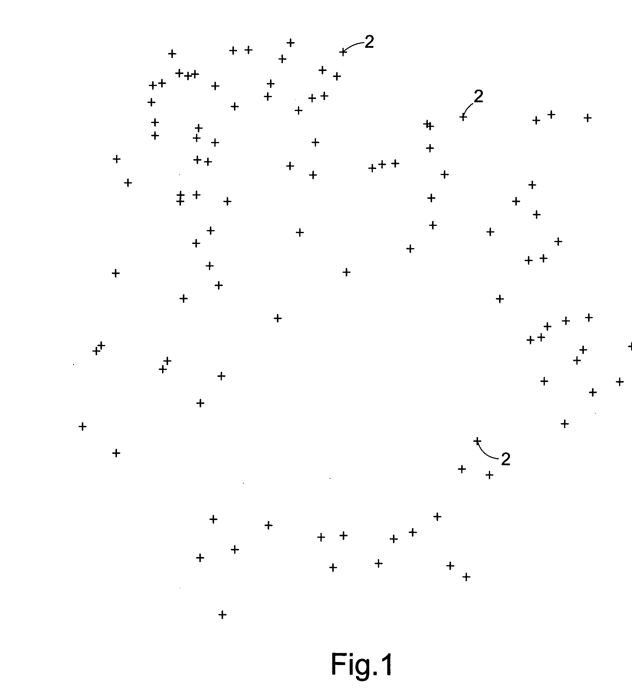 Method of and apparatus for generating a model of a cardiac surface having a plurality of images representing electrogram voltages