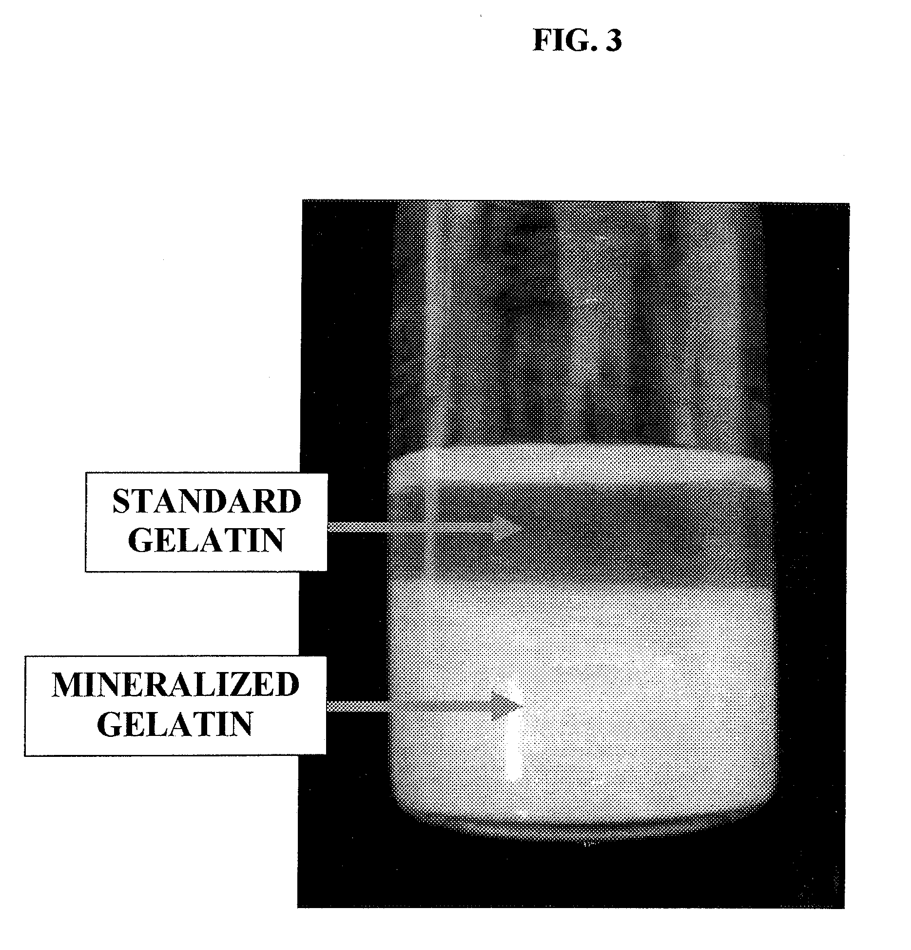 Bone graft materials derived from mineralized gelatin