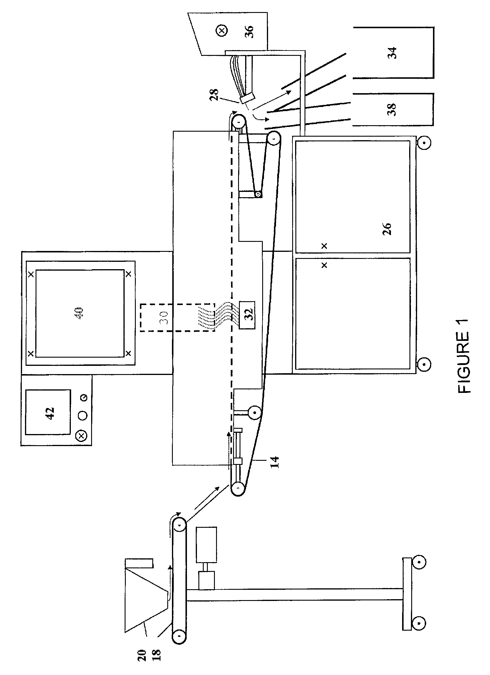 System and method for sorting larvae cocoons