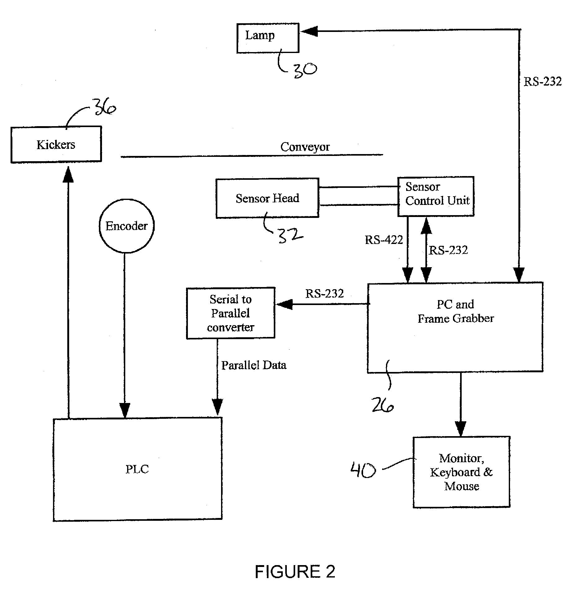 System and method for sorting larvae cocoons