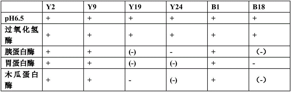 Separating, screening and identifying method of lactobacillus sake