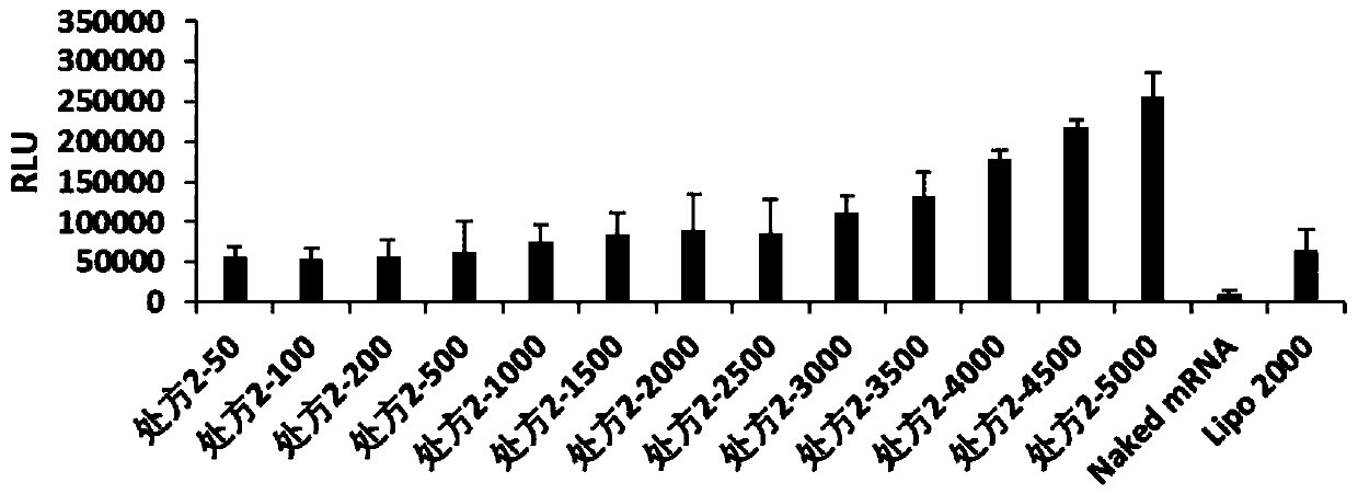 Composite nanoparticles of poloxamer and/or poloxamine in combination with PEG lipids