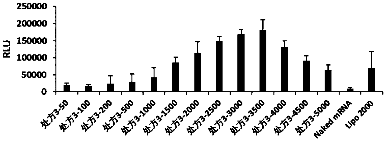 Composite nanoparticles of poloxamer and/or poloxamine in combination with PEG lipids