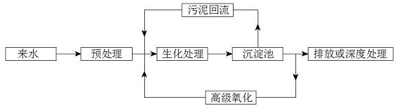 Biochemical treatment/advanced oxidation treatment coupled sewage treatment technique