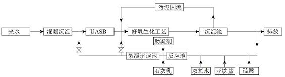 Biochemical treatment/advanced oxidation treatment coupled sewage treatment technique