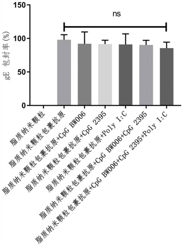 Varicella-herpes zoster vaccine composition as well as preparation method and application thereof