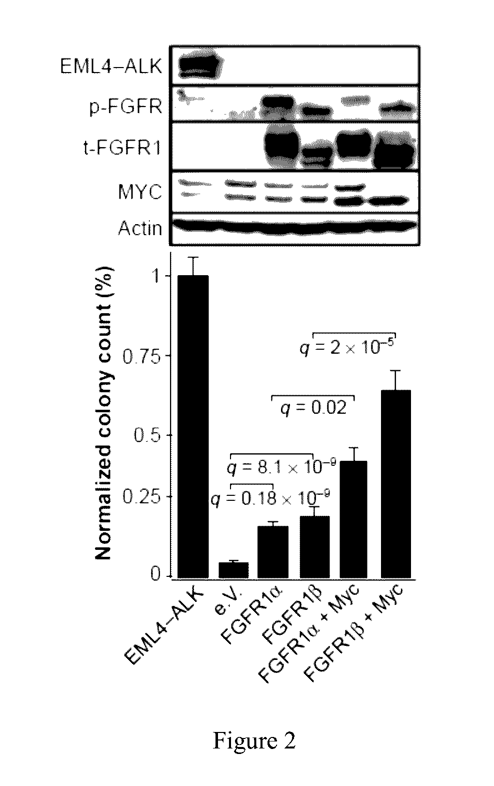 Personalized treatment of cancer using FGFR inhibitors