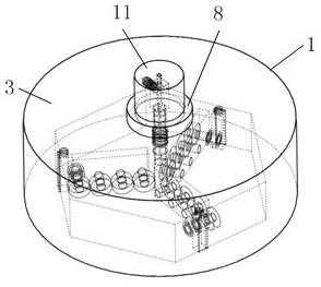 A kind of anti-dumping biological test box