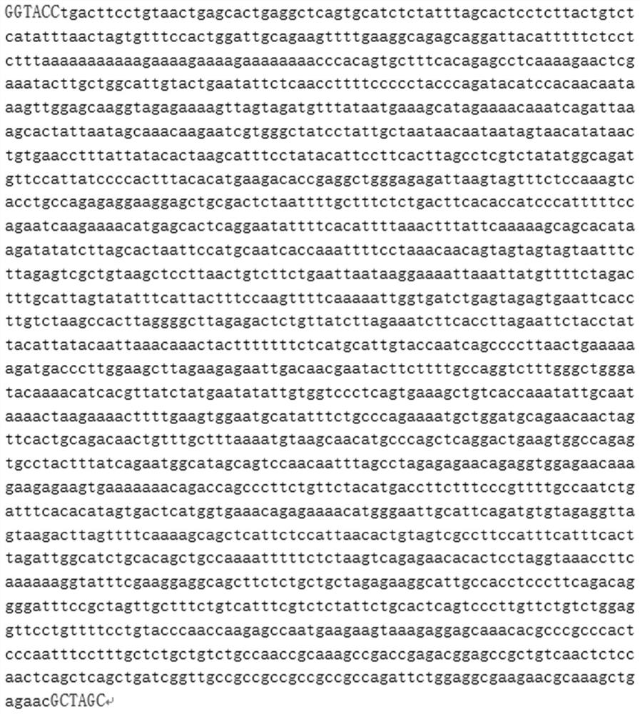 An anti-tumor compound based on activating jwa gene and degrading her2, its preparation method and its application