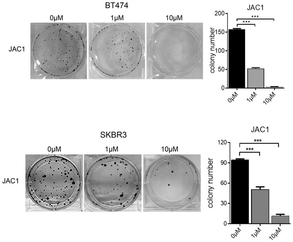 An anti-tumor compound based on activating jwa gene and degrading her2, its preparation method and its application