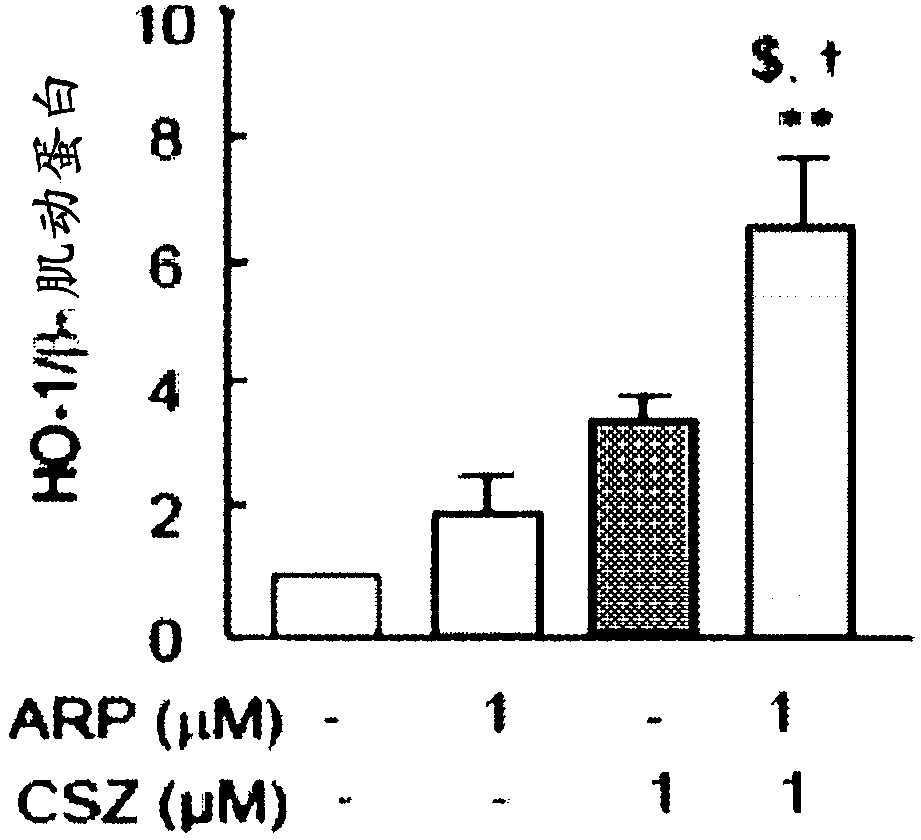 Drug comprising aripiprazole and cilostazol