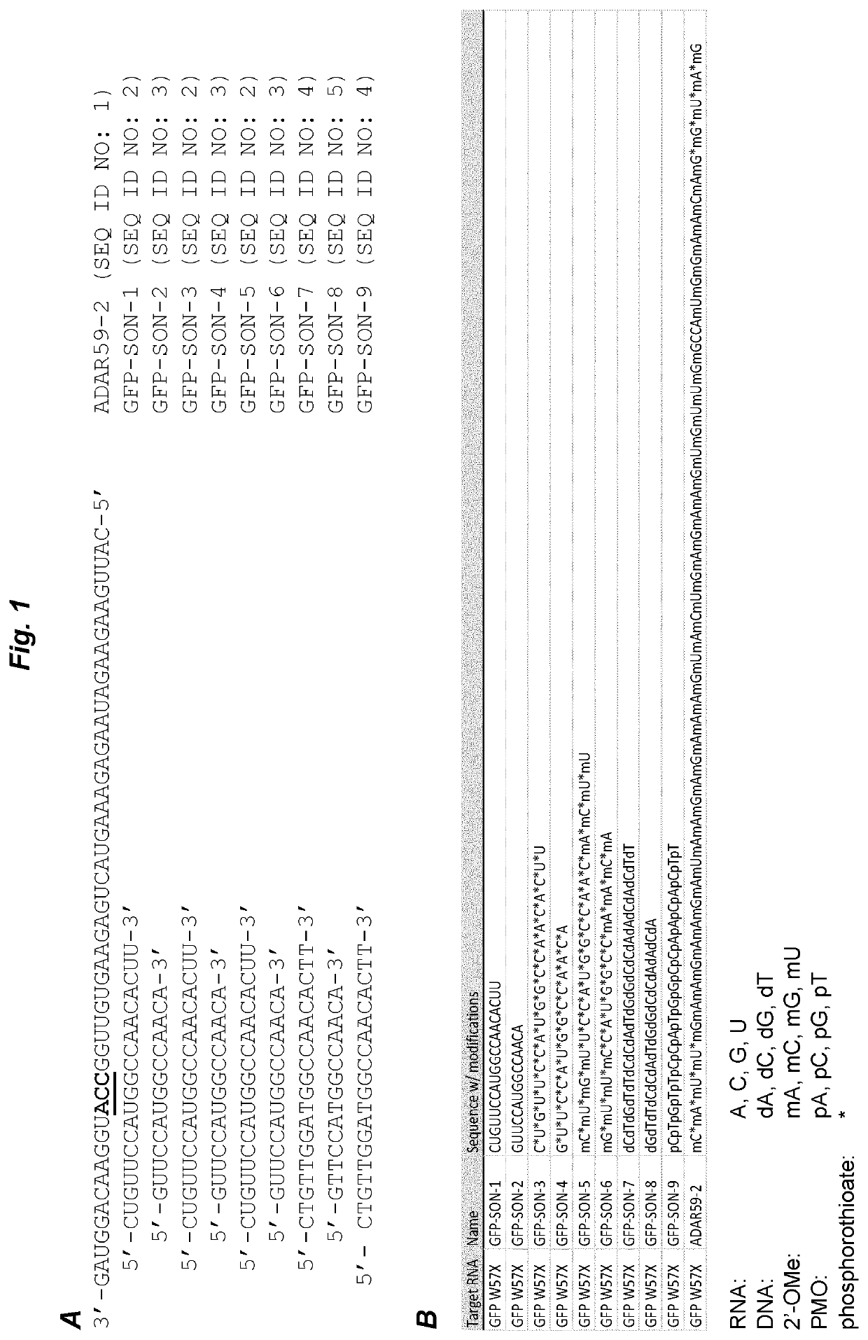 Oligonucleotide complexes for use in RNA editing