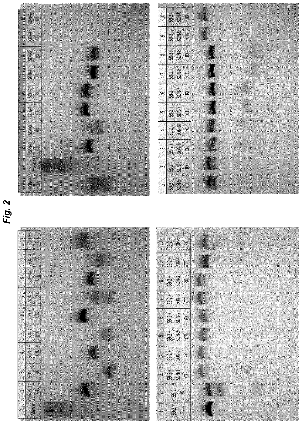 Oligonucleotide complexes for use in RNA editing