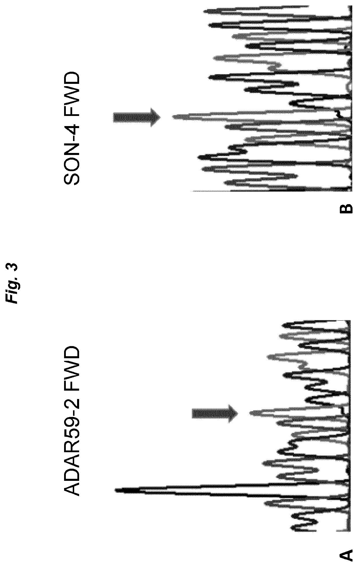 Oligonucleotide complexes for use in RNA editing