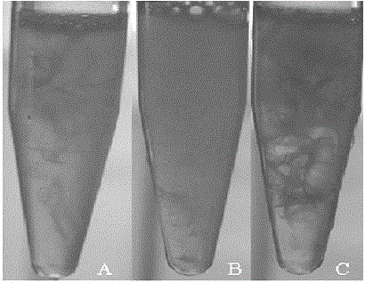 A biofilm for eye surface repair and its preparation method