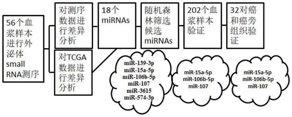 A plasma exosome miRNA biomarker and its application