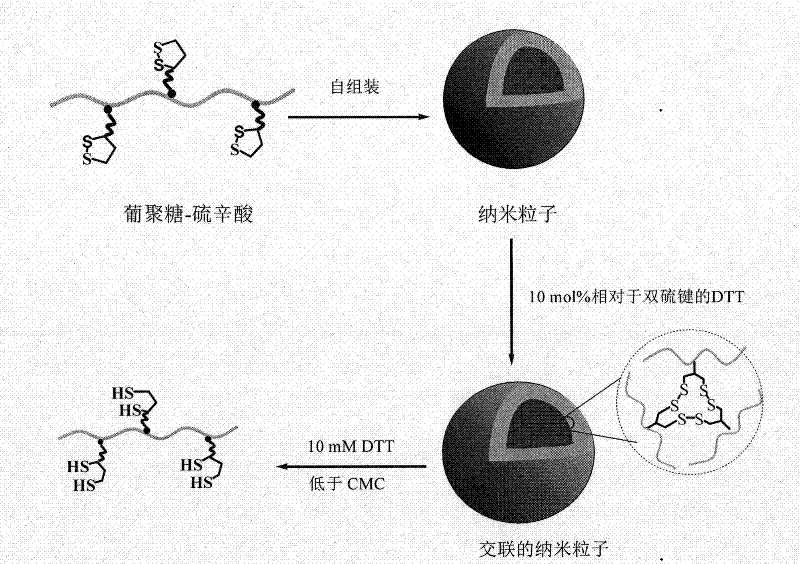 Hydrophilic polymer the side chain of which is modified by lipoic acid and preparation and application thereof