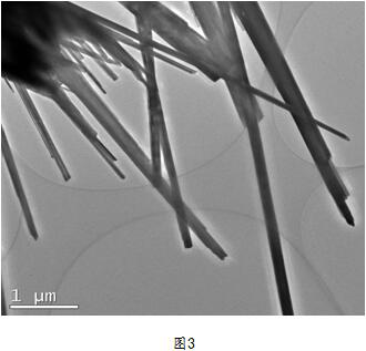 Graphene Oxide In-situ Growth Method to Prepare Hollow Structure Nano Tungsten Oxide Wire Preparation Method