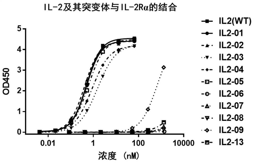 Human interleukin-2 variant or derivative thereof