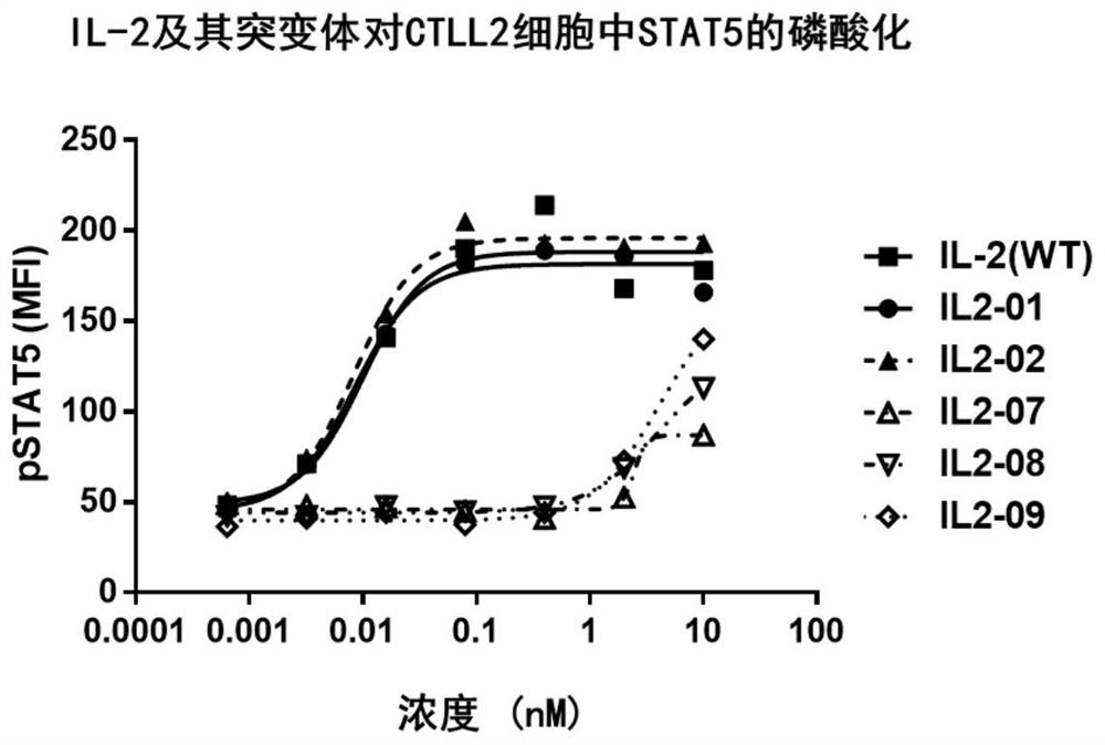 Human interleukin-2 variant or derivative thereof