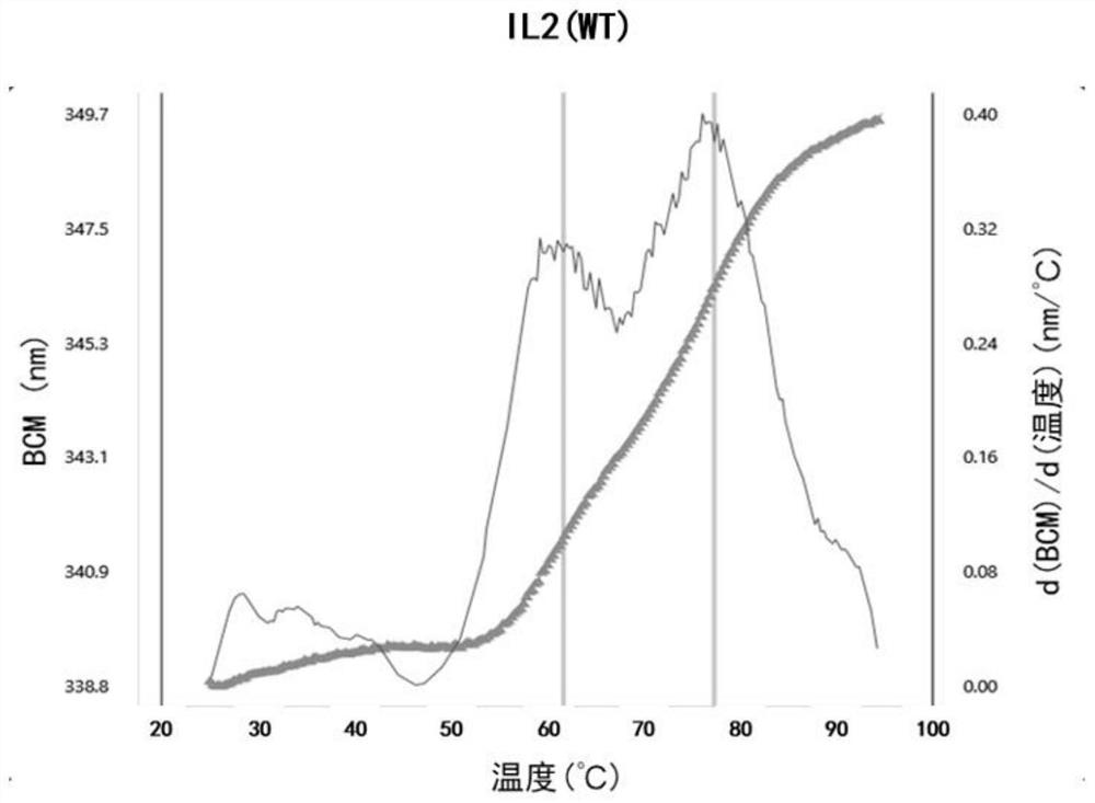 Human interleukin-2 variant or derivative thereof