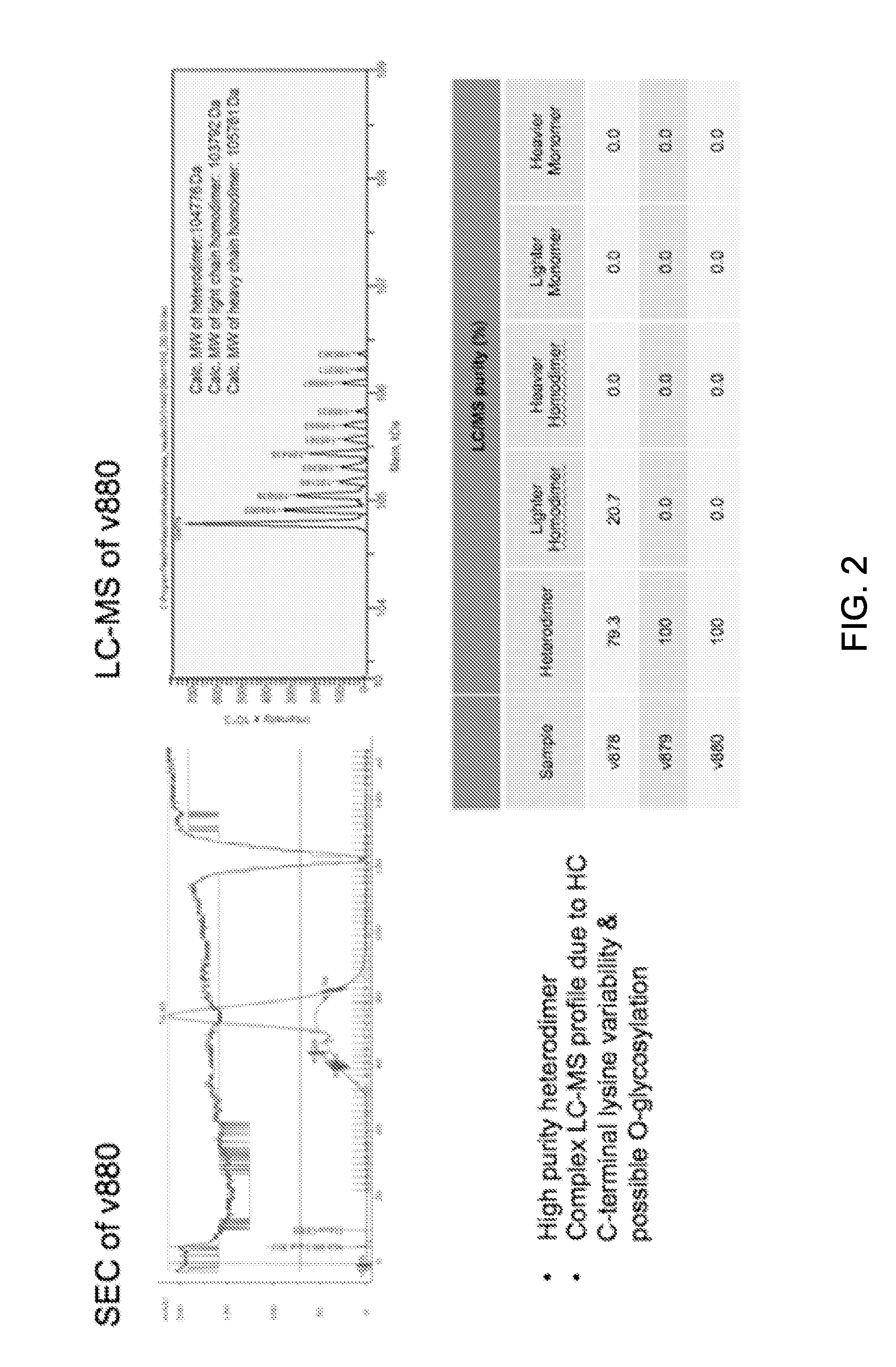 Bispecific HER2 and HER3 Antigen Binding Constructs