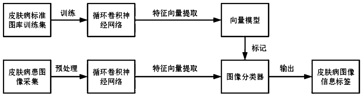 Skin disease feature analysis system based on knowledge map