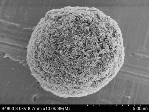 Preparation method of magnetic mesoporous phosphorite microsphere material