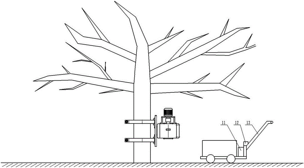 Vibration adjustable walnut picking machine