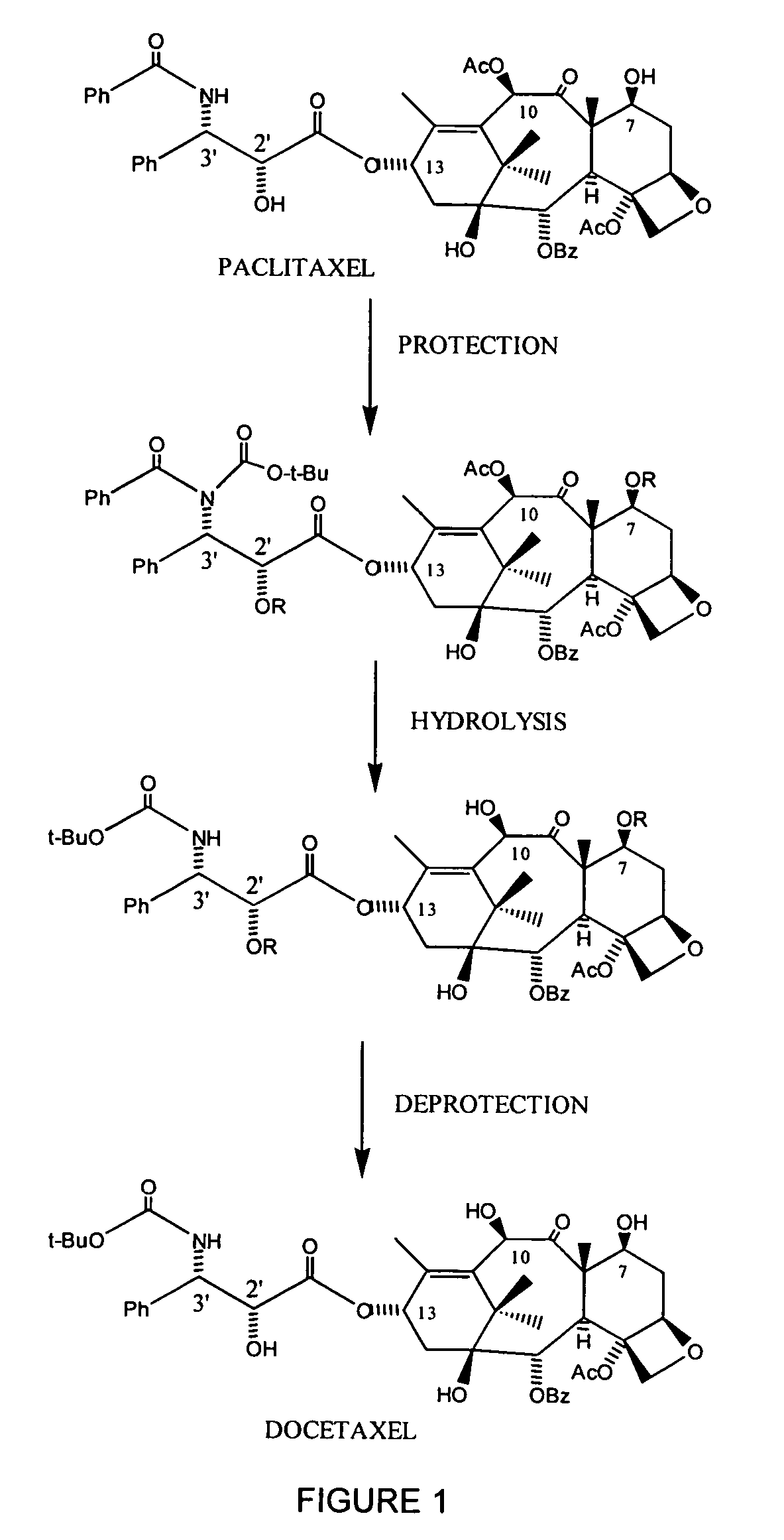 Semi-synthetic conversion of paclitaxel to docetaxel