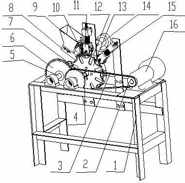 Hobbing type lotus seed shucker