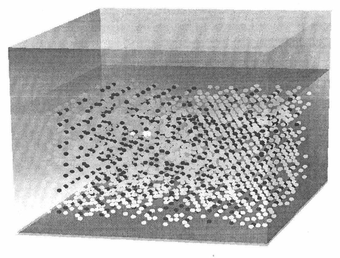 Cellular automata model-based visual simulation method for sewage purification process