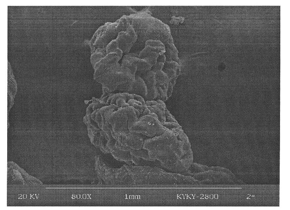 Sodium iron chlorophyllin-chitosan/sodium alginate microcapsules and preparation method thereof