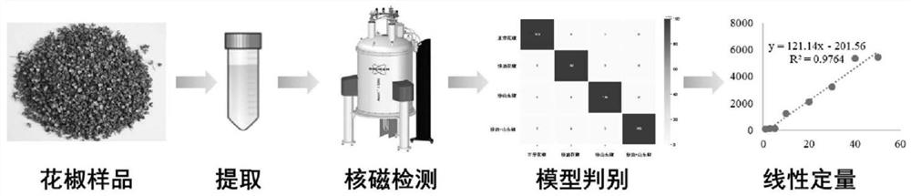 Method for identifying and quantitatively analyzing adulteration in Chinese prickly ash by using nuclear magnetic resonance hydrogen spectrum