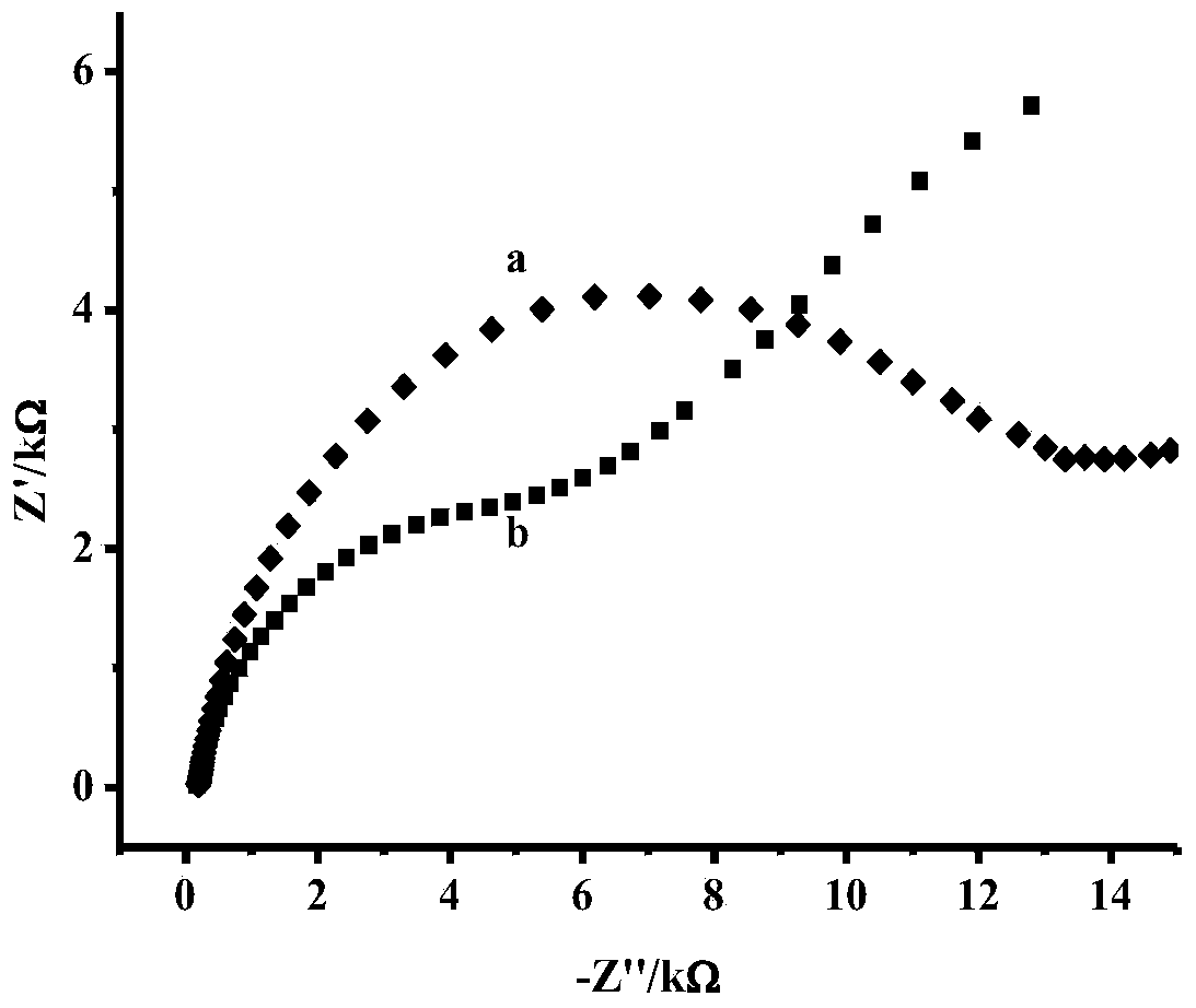 Preparation and application of CS/IL-GR modified bovine serum albumin molecular imprinting electrode