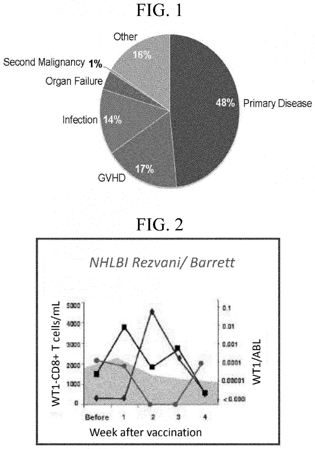 Tumor-associated markers for detection of minimal residual disease using digital droplet PCR