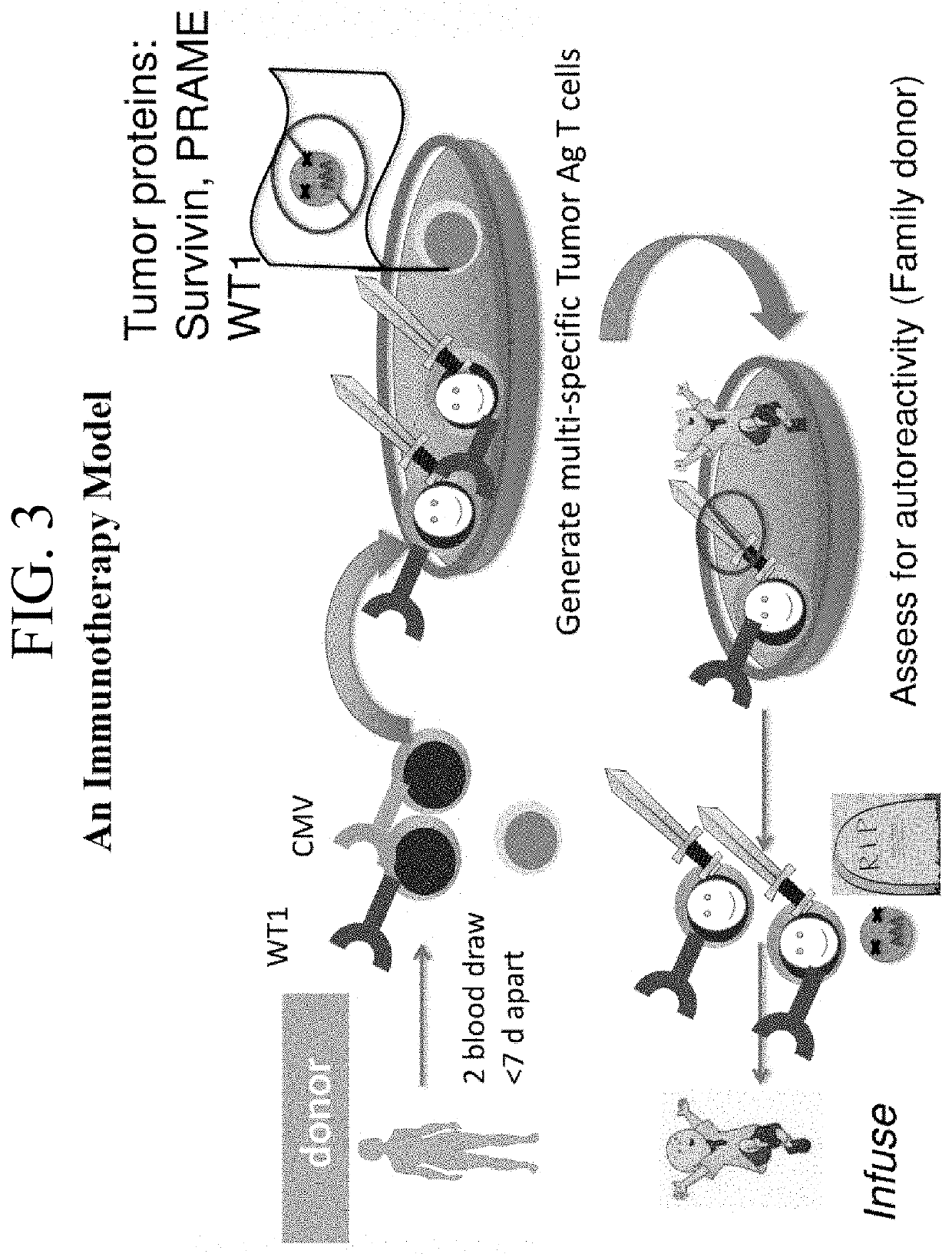 Tumor-associated markers for detection of minimal residual disease using digital droplet PCR