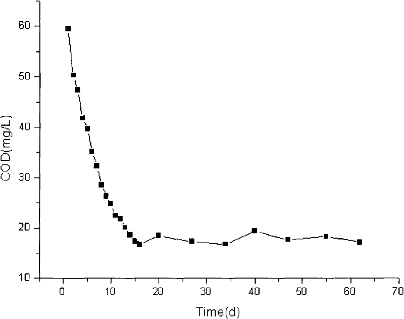 Method for treating polluted water body in lake