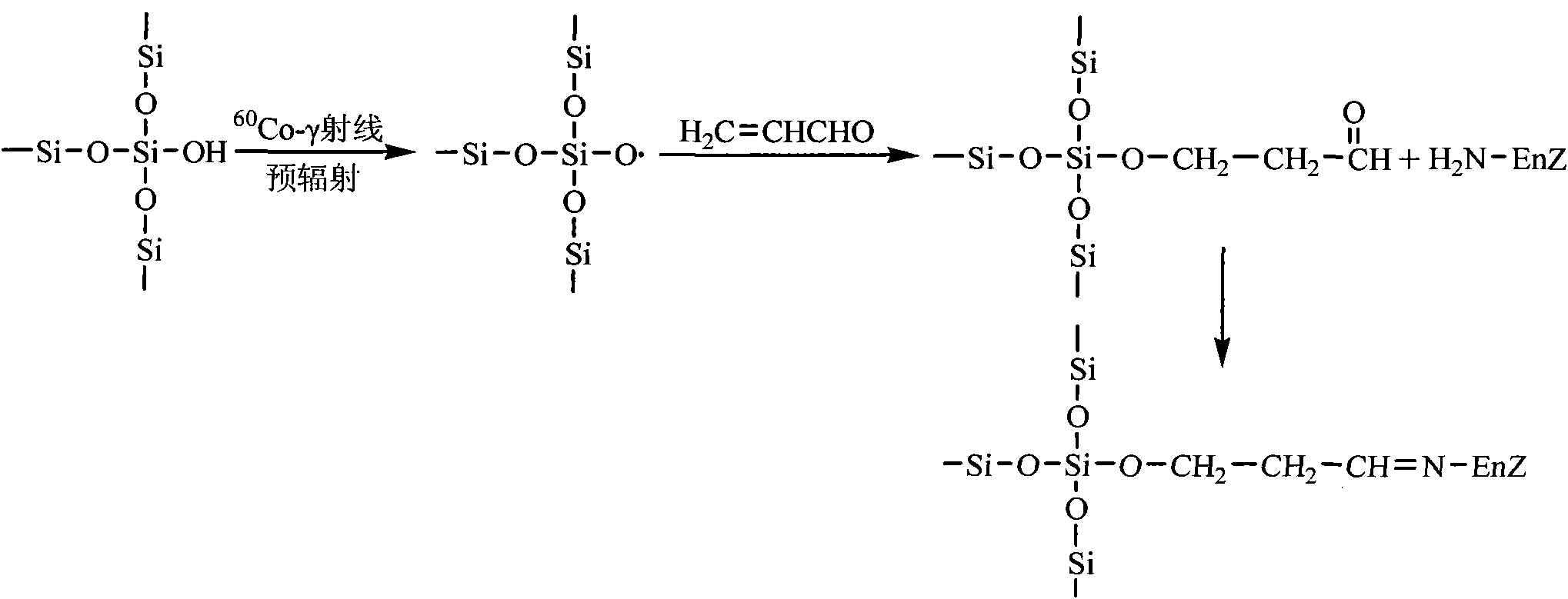 Aldehyde group mesoporous molecular sieve used for immobilization of biological enzyme and preparation method thereof