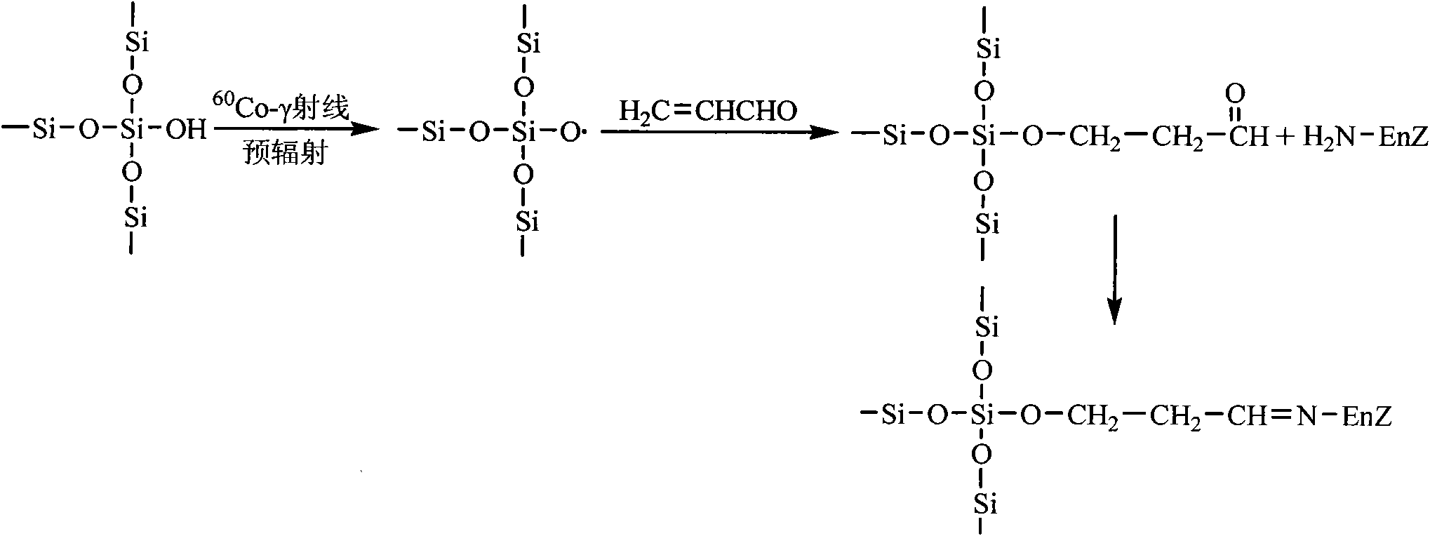 Aldehyde group mesoporous molecular sieve used for immobilization of biological enzyme and preparation method thereof